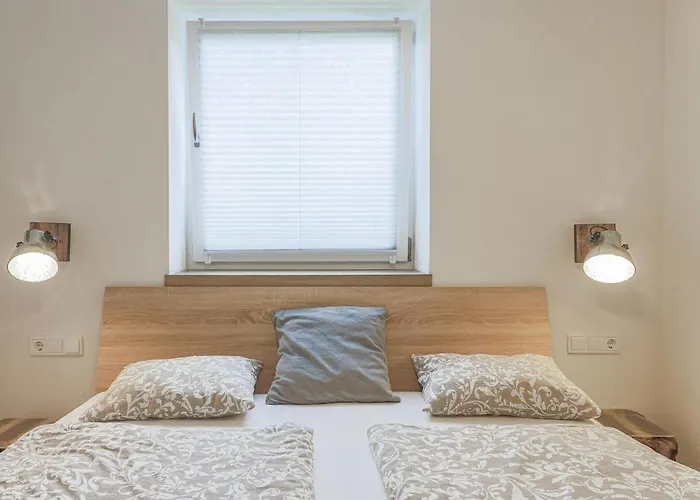 Celine 3 ברמברג אם ווילדקוגל